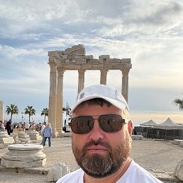 ����, 43 ����, ������