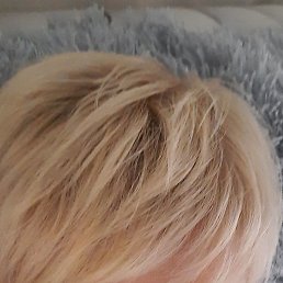 �����, ������������, 53 ����