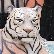 ��������, 56 ���, ��������