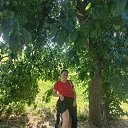���� �����, ������, 51 ��� - ��������� 20 ���� 2026 � ������ ���� ����������