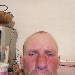 ��������, 41 ���, �������