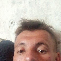 , 24, 