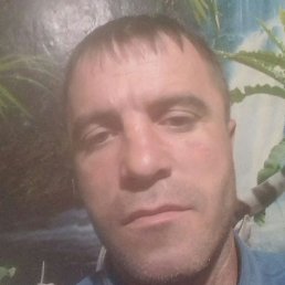 ������, �������, 43 ����