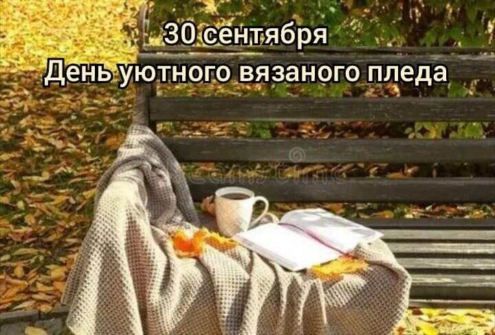   ,    . - 29  2025  22:11