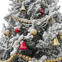 ���� �������, ����, 78 ��� - ��������� 12 �������� 2024 � ������ ������ ��������