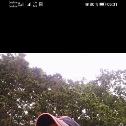 , 42, 