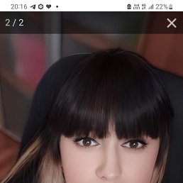 ���� �����, ������������, 37 ��� - ��������� 1 ����� 2026