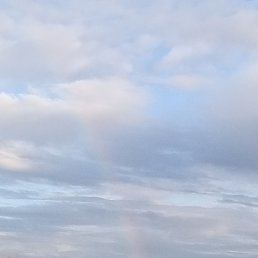 ���� ������, �����, 55 ��� - ��������� 21 ������ 2023