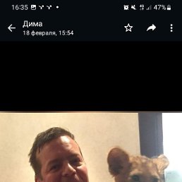 �������, ������, 47 ���