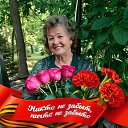 ���� ������ - (�� ��������), ����-����������� - ��������� 8 ��� 2026 � ������ ���� ����������