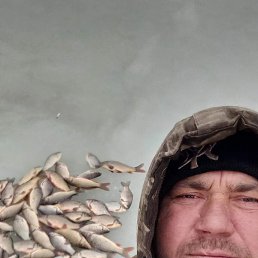 , 45, 
