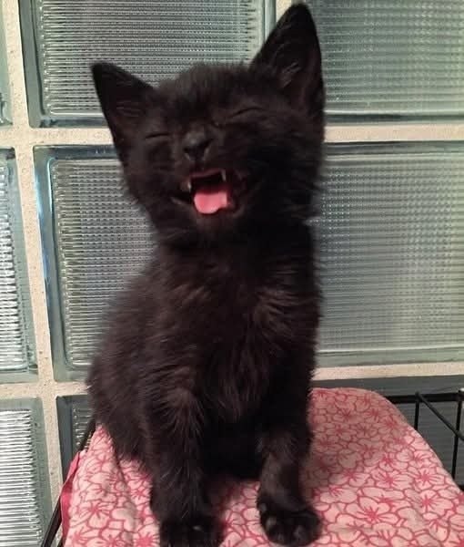 �� ��������� ������ �� ���=> - 4