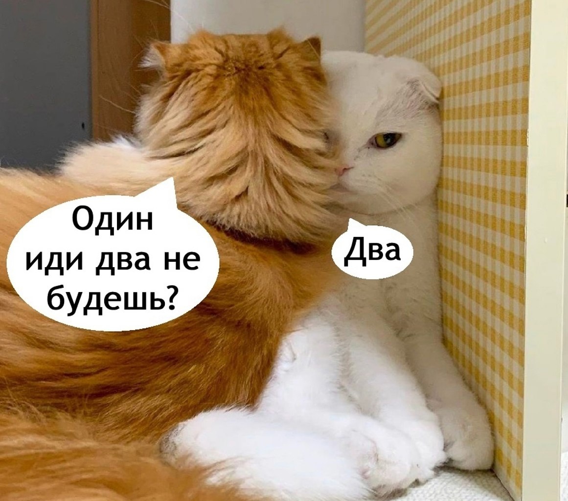 ������� �����, ������ �������� - 3
