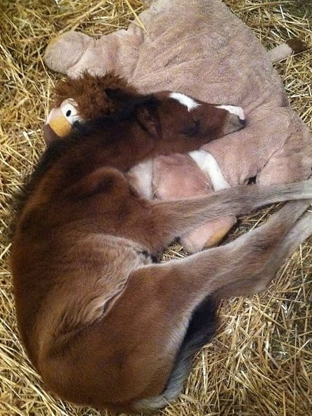  ,   ,      .  ... - 3