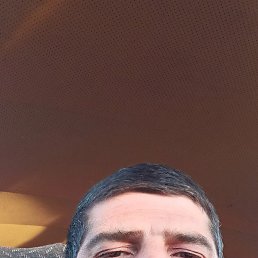 , 33, 