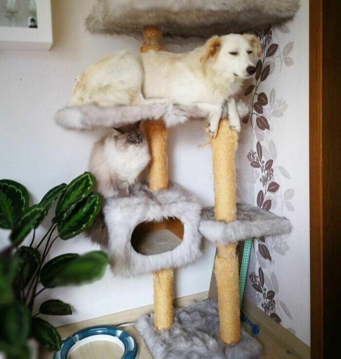   ,    )))) - 3