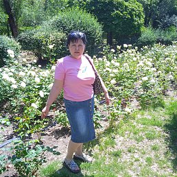 , 52, --