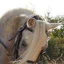  Djscaroficial, , 41  -  12  2025