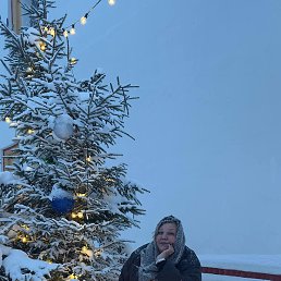 �����, �������, 46 ���