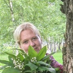 �����, �����-���������, 41 ���