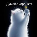 ���� ������, ���������, 61 ��� - ��������� 12 ���� 2026 � ������ ������ ��������