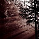 ���� �������, ������� ���� - ��������� 25 ������� 2024 � ������ ������ ��������