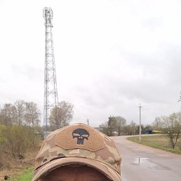 , 41, 