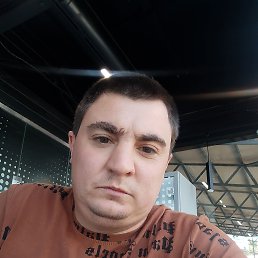 , 33, 