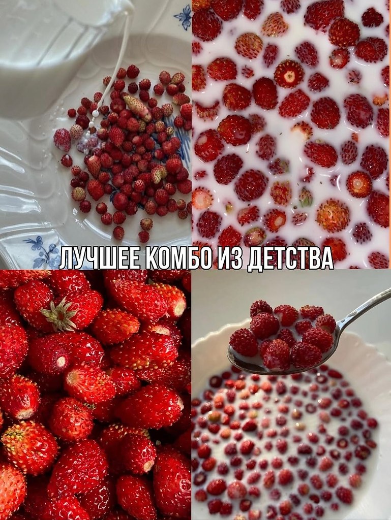 � ���� ������� ����� �� �������? - 5
