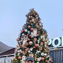 ���� Ը���, ������, 35 ��� - ��������� 3 ������ 2026 � ������ ���� ����������