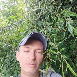 , 49, 