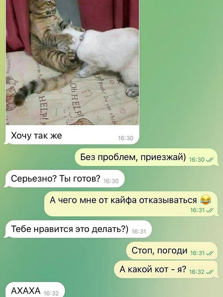 ���� ��� ���� - 11 ������� 2025 � 21:53