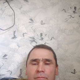 , 44 , 