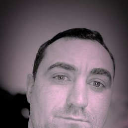 , 41 , 