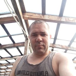  , 37, 