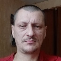 ������, ������, 41 ���