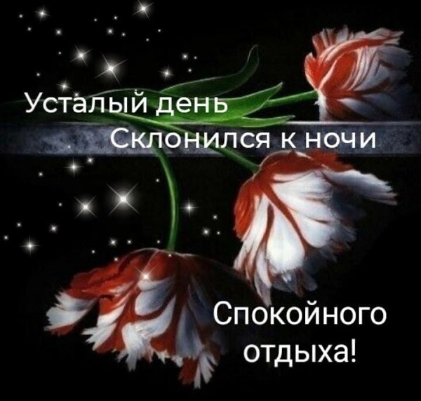 ����������� � ���������, �������� �� ������ ����. - 15 ������ 2026 � 21:36