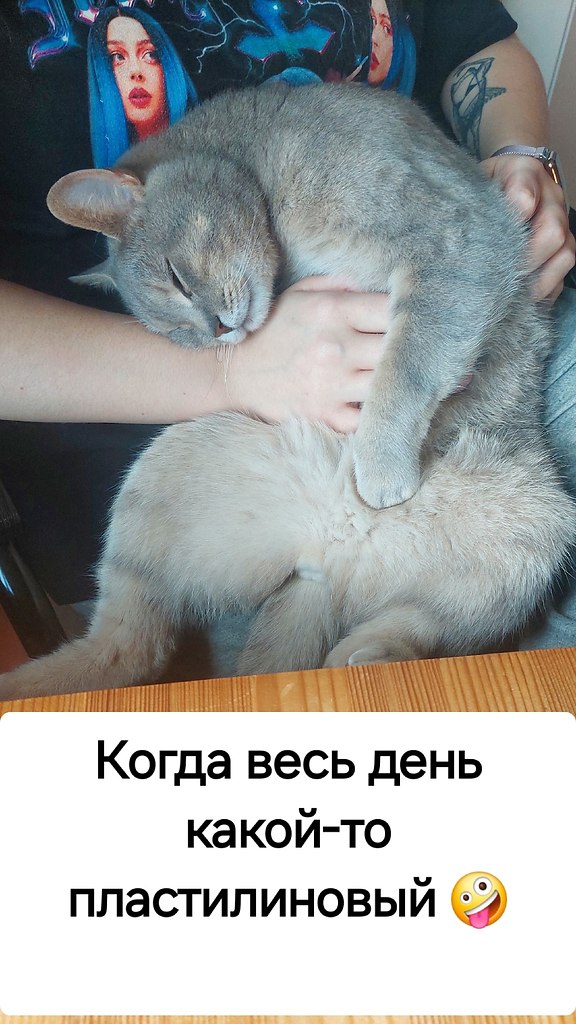       - 23  2025  20:32