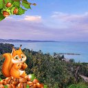 ���� ������, ������, 58 ��� - ��������� 1 ������ 2026 � ������ ���� ����������