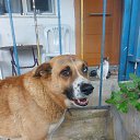 ���� Onur, �������, 39 ��� - ��������� 28 ��� 2025 � ������ ������ ��������