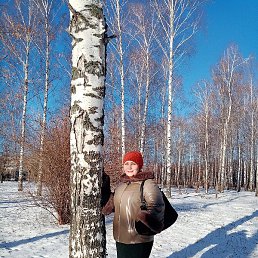 ������, ���������� �����, 50 ���