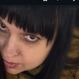 ˸����, ���������, 51 ���