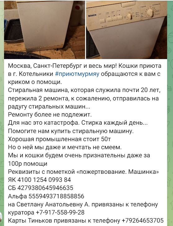 p.s. Светлану знаю лично, волонтер и большой души человек, спасающая братьев меньших. Москва, ...