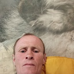 , 41, 