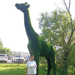 ������, ���������, 61 ���