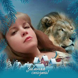 ������, ��������, 49 ���