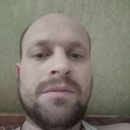 ������� ��������, �����, 41 ���