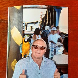 ����, 62 ����, ������