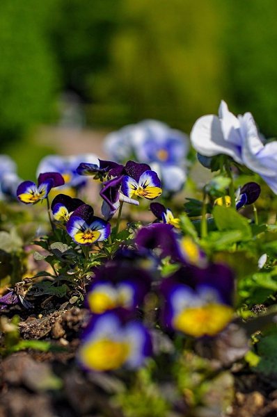 �����-���������� �������� � �������� �������.����: ��������� �������� - 5