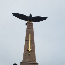 ���� Sneper, �����, 24 ���� - ��������� 31 ������� 2023